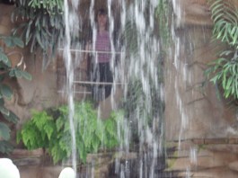 OLYMPUS DIGITAL CAMERA Like a Fish out of Water