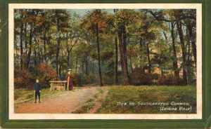 The Common Lover's Walk