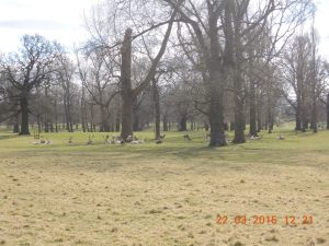 DSCN1901[1]