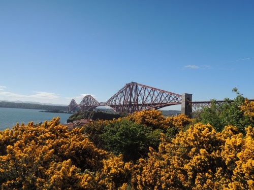 DSCN3780.JPG