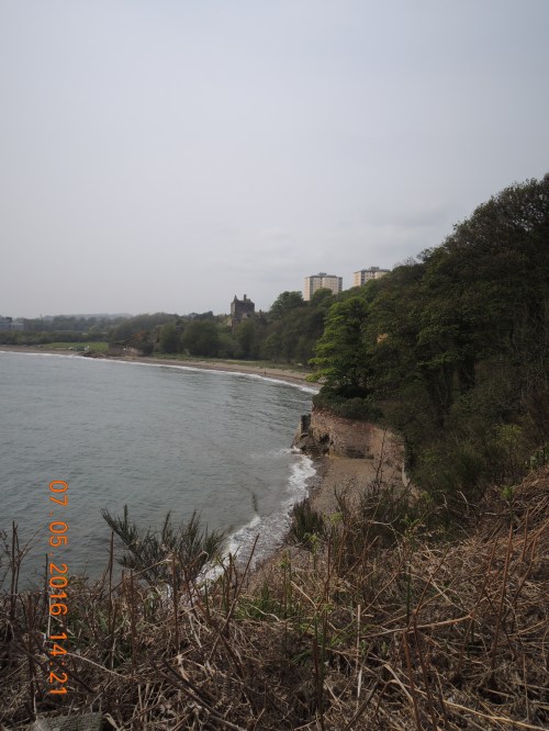 DSCN3076.JPG