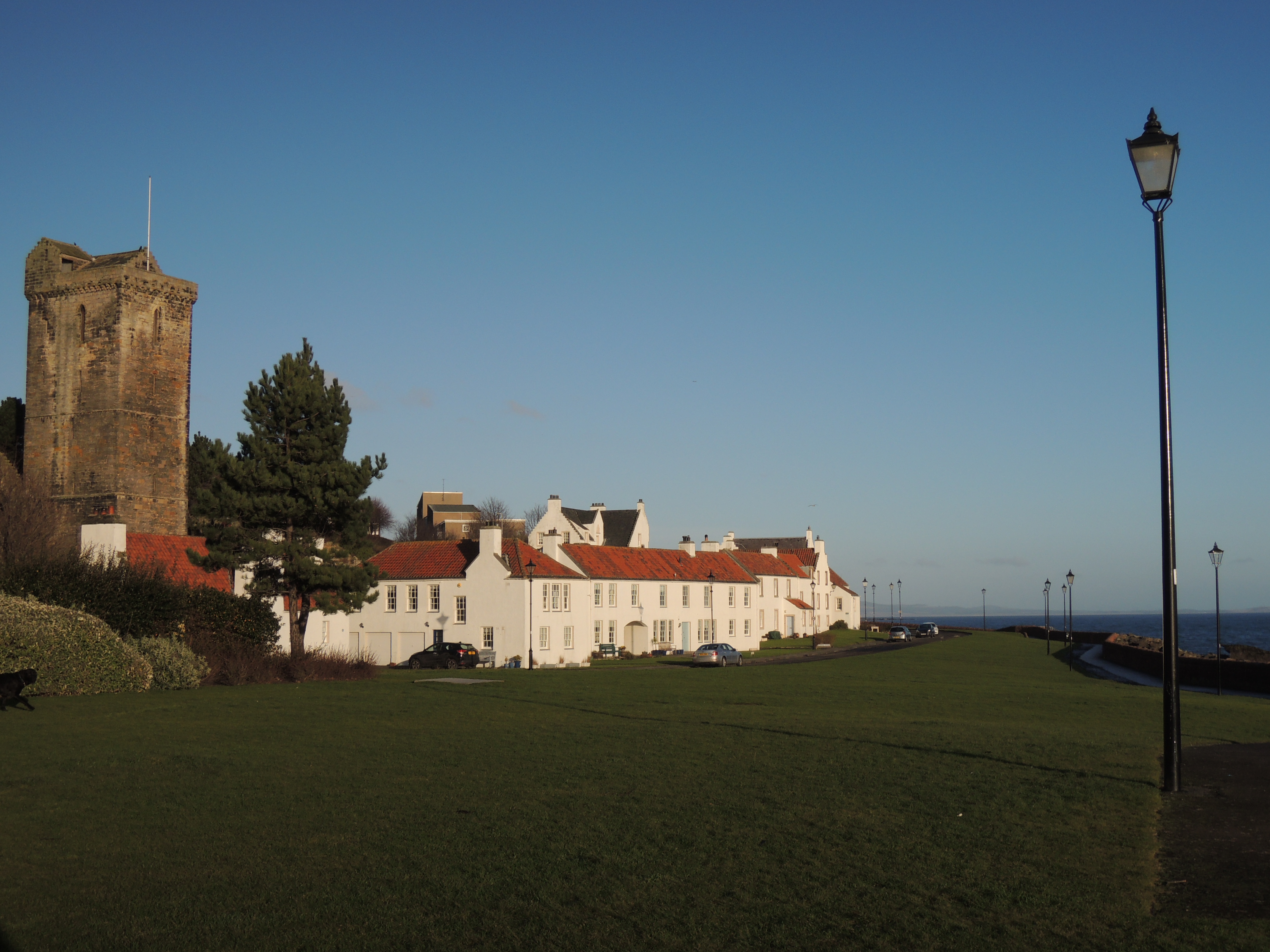 Dysart2