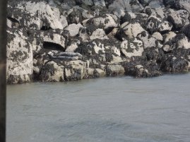 DSCN4541.JPG