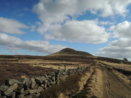 DSCN4529.JPG